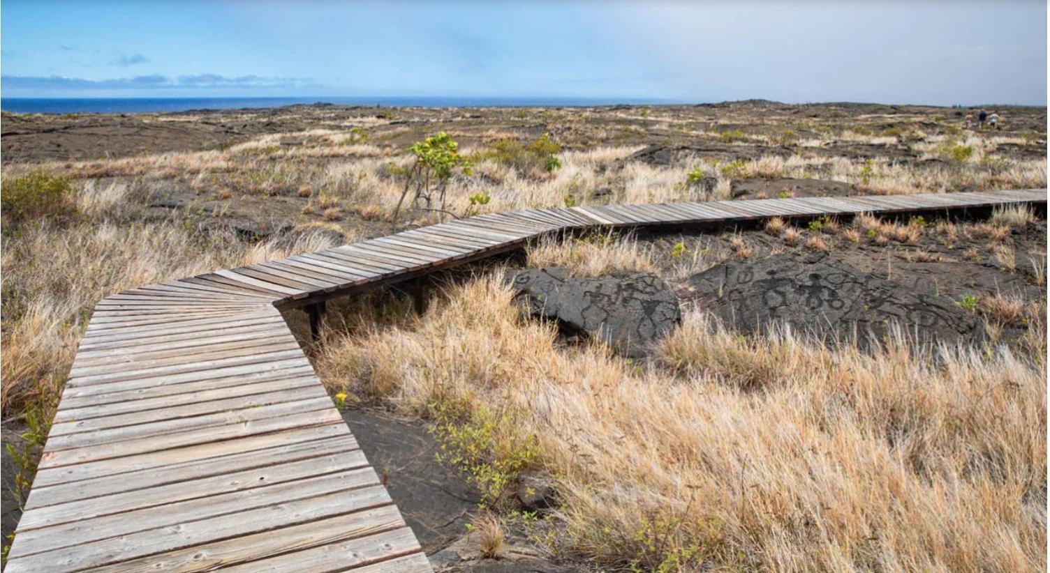Volcano One - Modern Studio With Lanai Near Volcano National Park Exteriör bild